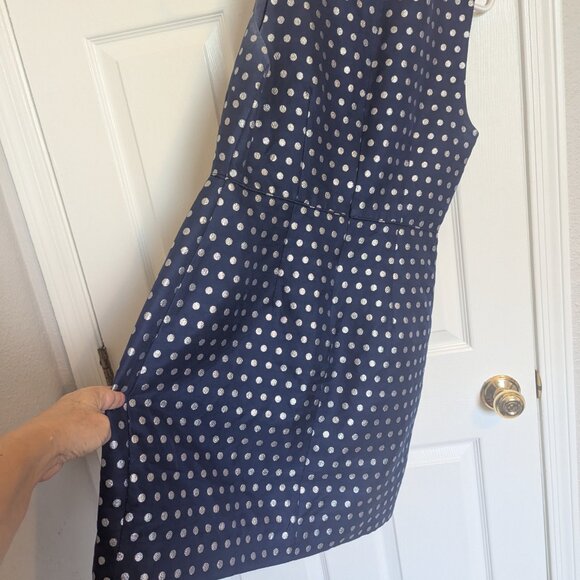 J. Crew Navy and Silver Polka Dot Sheath | 12 | EUC | Silk Cotton Blend! - Picture 5 of 8